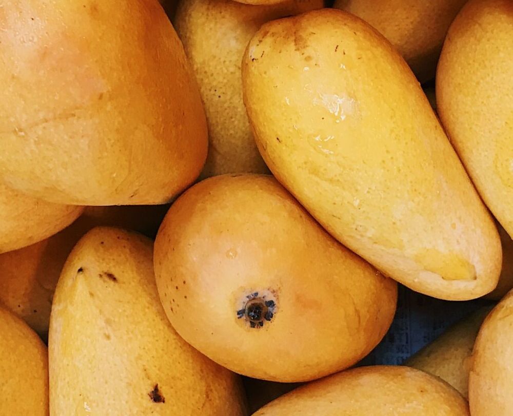 pexels-julie-aagaard-2294471